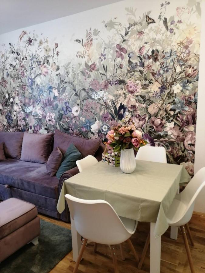 Spring Flower Apartment Novi Sad