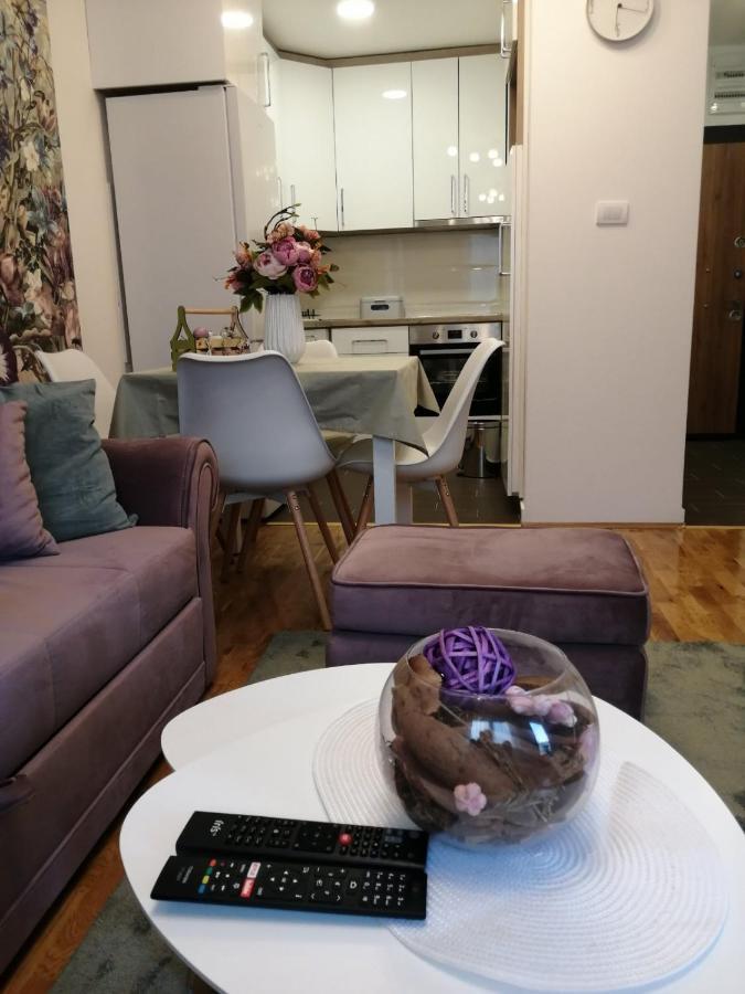 Apartment Spring Flower *
